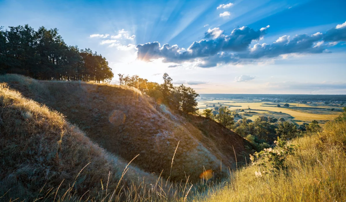 Jak wykonać odbiór elektroodpadów w Białymstoku Natychmiastowo?