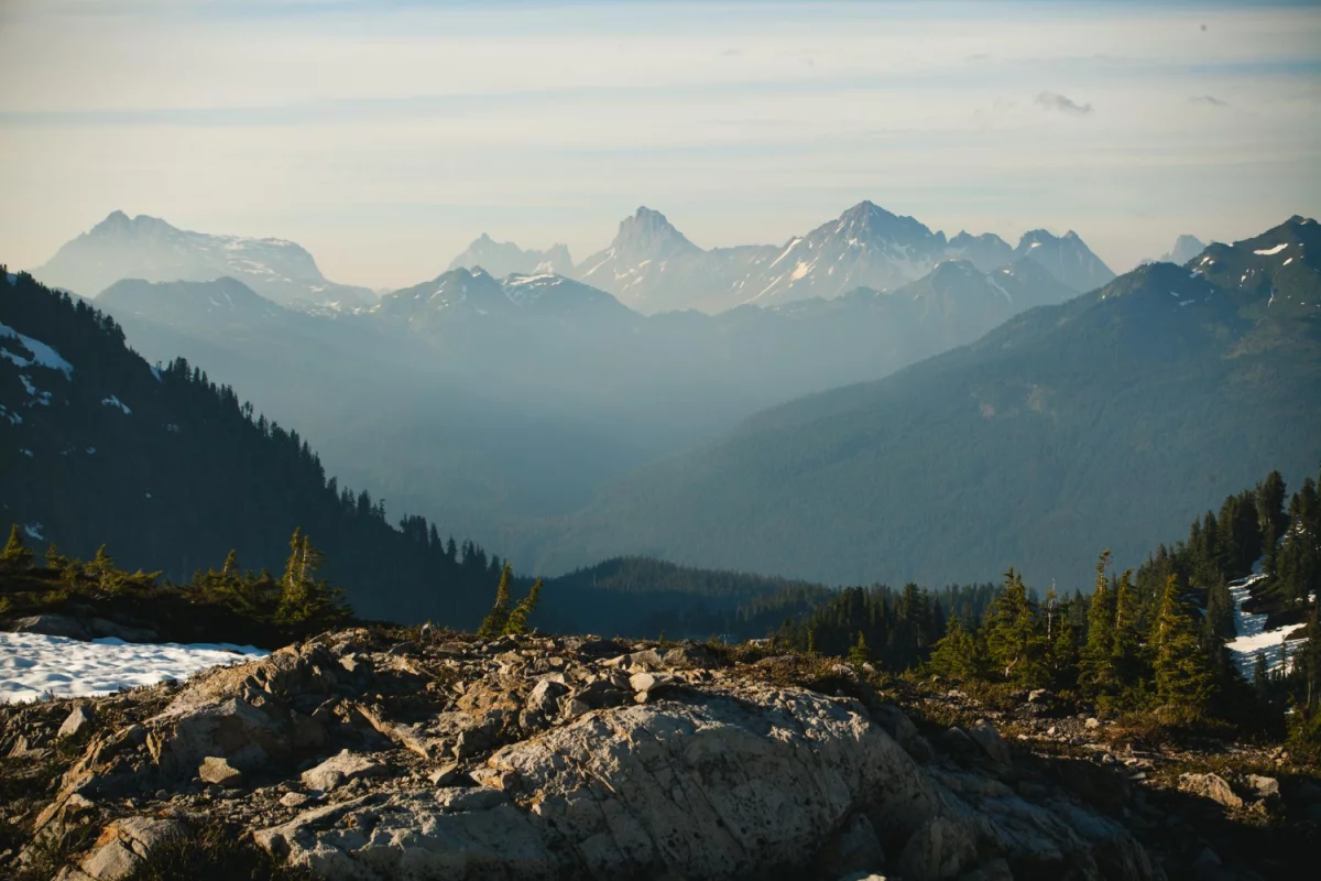 Jak szukamy prawników