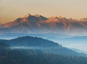 Szukasz jak kupić paracord fluorescencyjny?