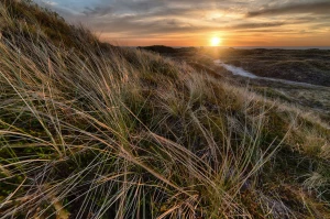 2022 czas aby lepiej  uzyskać pozwolenie zintegrowane